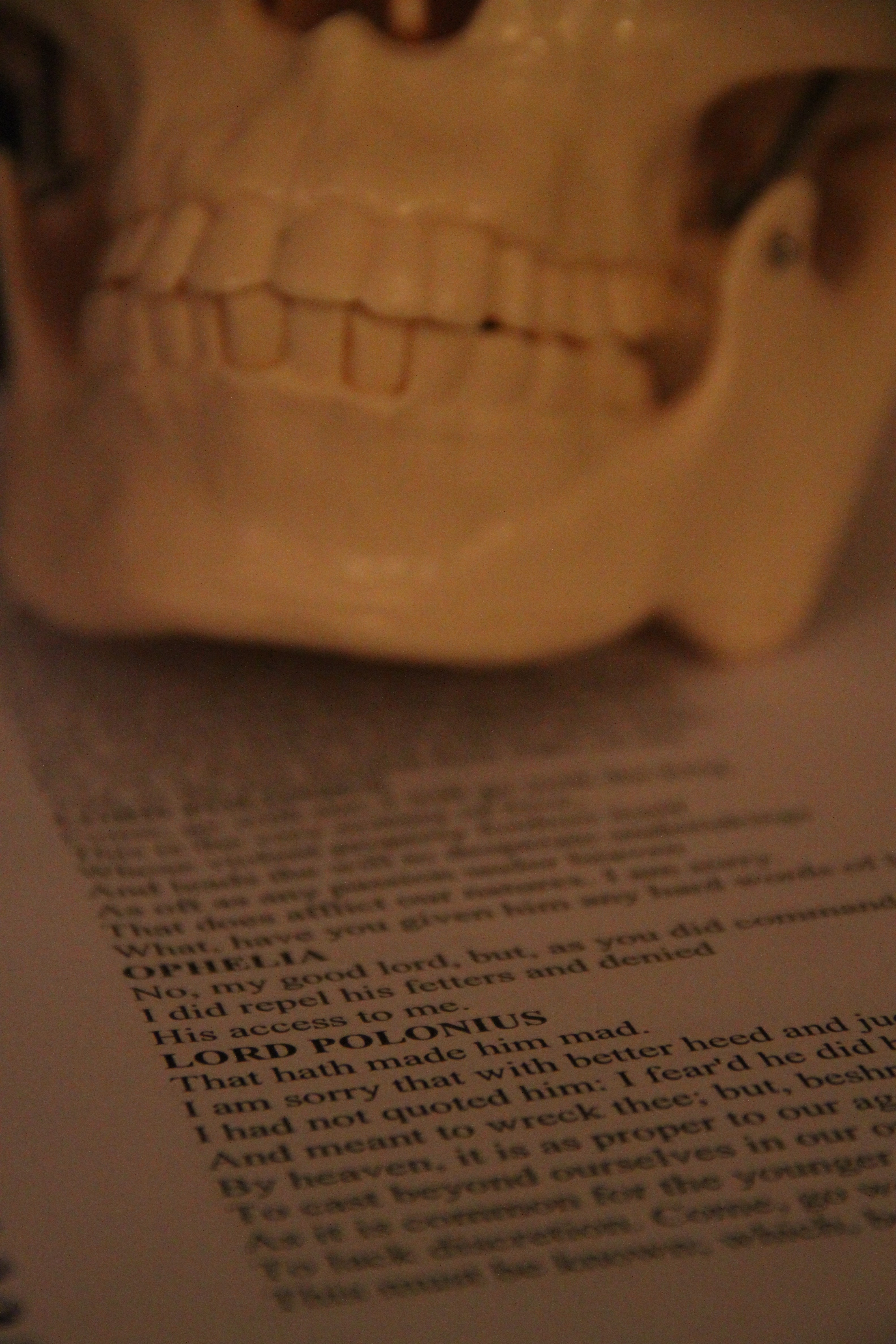 Skull with Hamlet Script